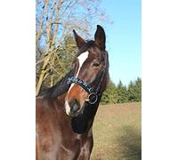 Covalliero Piel no incluida, VB, Incl. Dentadura Correa - Serreta, Negro, Unisex, Kappzaum Leder, Exklusiv Schwarz WB, Incl. Gebissriemen, Negro