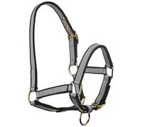 KERBL Exclusive - Cabezada para Potro Gris Talla:Talla 00: Potro