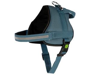 Kerbl Pet 80212 Maestro 2.0 - Vajilla con Soporte para direcciones