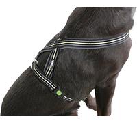 Kerbl Pet - Arnés Acolchado Reflectante (20 x 40 - 60 cm), Color Negro y Amarillo