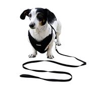 KERBL PET Arnés para Cachorro con Correa, Negro, 30-50 cm/10 mm