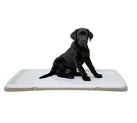 KERBL Pet Inodoro para Cachorros XL 60 x 90 cm, Color Blanco