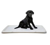 Kerbl Pet Caja de Arena para Cachorros XL, 90x60x4cm, Crema, Perros Mayores o Enfermos, la Alfombrilla se Vende por Separado, plástico, Fabricada en Italia