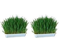 Kerbl Pet Hierba para roedores 100 g (Paquete de 2)