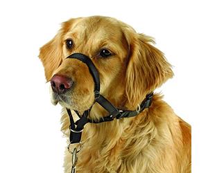 Kerbl Pet Maxi Coach < 24 cm, Negro