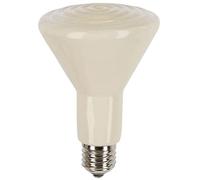 Kerbl Radiador oscuro de cerámica 250 W