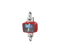 KERN KP-4378 Modello HFD - Báscula de grúa, 600 kg de peso máximo, legibilidad de 50 g