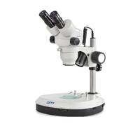 Kern Microscopio stereo zoom OZM 542, Bino, 7-45x, HSWF10x23, Luz transmitida, 3W LED