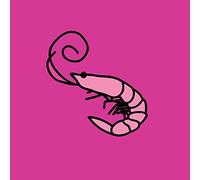 Kero Kero Bonito - Flamingo [Vinilo]