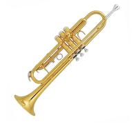 KERREY Trompeta para Estudiante Trompeta BB De Acero Inoxidable Y Latón con Tono Lacado En Oro Instrumento Musical Profesional