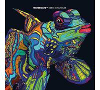 Kerri Chandler - Watergate 15