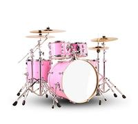 Keshuo Drum Kit Adult Universal 5 Drum 2/3/4 Práctica De Platillo Principiante Instrumentos batería (Color : 01, Size : 5 drums 4 cymbals)
