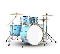 Keshuo Drum Kit Adult Universal 5 Drum 2/3/4 Práctica De Platillo Principiante Instrumentos batería (Color : 05, Size : 5 drums 3 cymbals)