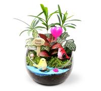 KESOTO Miniatura Terrario con en Botella de Vidrio Decorativo y Maceta Pequeña de Resina Diseño Portátil Adecuado para Escritorio Oficinas Habitaciones 10cm