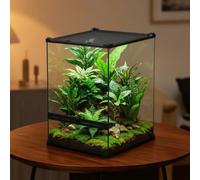 KESOTO Terrario para Reptiles Acuario Jaula con Tapa de Malla para Aireación y Puertas Abatibles Diseño para y Arborícola Adecuado para Hogares Iniciados y Expertos, 30 20 20cm