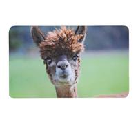 Kesper 31200 - Tablas de desayuno melamina, multicolor