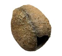 kesurpae Cueva de camarones Que imita Rocas Naturales, Refugio para Peces y Tranquilidad acuática. mitades de Resina se unen fácilmente Mediante un imán Incorporado. Acuarios, Cuevas Roca.