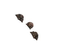 kesurpae Patas elevadoras para macetas con forma de animal, soporte y drenaje para plantas. Juego de 3 patas resina para macetas. Elevadores decorativos para jarrones, Tortuga 6x3.8x2.8cm