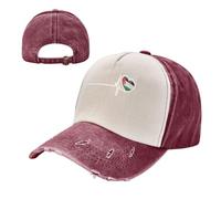 KETAFOUND Gorra de Béisbol para Hombre y Mujer, Gorra de Trucker Vintage Bandera del Amor Palestina, Gorras de Algodón Ajustable con Destrucción de Irán para Correr, Tiempo Libre
