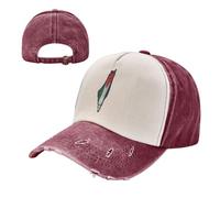 KETAFOUND Gorra de Béisbol para Hombre y Mujer, Gorra de Trucker Vintage Bandera Palestina, Gorras de Algodón Ajustable con Destrucción de Irán para Correr, Tiempo Libre