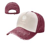 KETAFOUND Gorra de Béisbol para Hombre y Mujer, Gorra de Trucker Vintage Escudo De Armas De Polonia, Gorras de Algodón Ajustable con Destrucción de Irán para Correr, Tiempo Libre