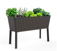 Keter Easy - Cama de jardín elevada de 31.7 galones con Maceta de riego automático y tapón de Drenaje, Cultivar Verduras Frescas, Flores y Hierbas, Grafito