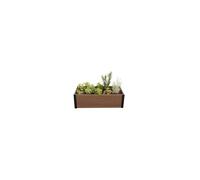 Keter Maple 249297 - Bandeja de siembra - Bordura de jardín - plástico - 106 x 50 x 32 - Resistente a la intemperie - Marrón