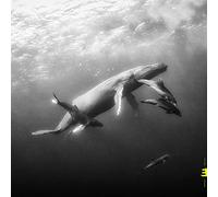 Kevin Hays & Lionel Loueke - Hope