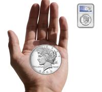 KEWEIYASW 2023 P peace Silver Dollar Graded Fine to Extra Fine Circulated