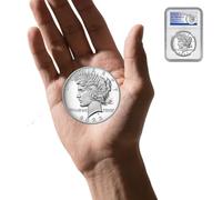 KEWEIYASW Peace Silver Dollar 2023 $1 Dollar