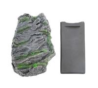Key Faux Rock Key Safe Caja segura para la vida Llave de repuesto de repuesto para el jardín al aire libre Security Security Security Stilo de piedra gris claro