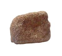 Key Rock - fuerte grande de almacenamiento secreto de piedra falsa, de almacenamiento de resina para casa, patio, cobertizo, porche, caminos, esquina, geocaching, casa de familia, inquilinos