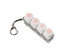 Keyboard Fidget Toy, Colorful Clicker, 3.07x0.787x1.18 Inches Light Up Portable, Sensory Kids Toys for Work, Travel Classroom Home Bag Desk, Fun Gift for Teens Adults School Enthusiasts and Collecting