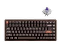 Keychron K2 HE - Interruptor de nebulosa de retroiluminación RGB intercambiable, edición especial