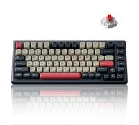 Keychron Teclado mecánico inalámbrico J2, Bluetooth QMK de 2.4 GHz, diseño 75% RGB, interruptor rojo intercambiable en caliente, compatible con Mac, Windows Linux, teclas PBT que no brillan para