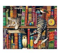 KEYIFA Pintar por Numeros Adultos, Paint by Number Kits con Pinceles y Pigmento Acrílico, DIY Lindo gato y libro Pintura al óleo Colorear Lienzo Manualidades, Decoración del Hogar 50x40CM