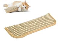 KeyoGoS Juego de almohada de hierba gatera y almohada de hierba gatera, almohada interactiva de felpa con relleno de hierba gatera de primera calidad para jugar en interiores, alivio del estrés y