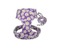 KFGISD, Arnés de Malla de Nailon con Estampado de Plomo for Perros y Gatos pequeños, Conjunto de Correa y Chaleco Reflectante Acolchado Suave DM,Bolso para Perros(A,L)