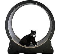 KFGISD, Cinta de Correr for Gatos con Pista reemplazable, Rueda de Ejercicio for Gatos de Interior, Juguetes de Fitness for Bajar de Peso,Unser Laufrad-Laufband ist für Alle Katzen geeign(Black,L)
