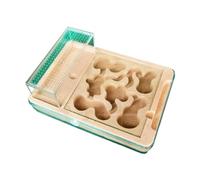 KFGISD, Hormiguero Nido Castillo Hormiguero Yeso Hormiguero Nido Plano Hormiguero Vigilancia Excavación Túnel Hormiguero Hormiguero,nidos de Hormigas