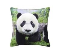 Kfjghhl Lovely Panda Walking On The Grassland - Fundas de almohada decorativas para sofá, funda de almohada cuadrada suave