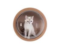 KFXYSM Ventana De Burbujas Valla Seguro Nido For Gatos Transparente De 32 Cm, Ideal Cercas, Mirador Mascotas, Lámina Acrílica Duradera, Ventana Hemisférica Vidrio, Regalo(1pc-White washers)