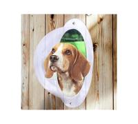 KFXYSM Ventana De Burbujas Valla Seguro Ventana de acrílico Transparente for Perros, Cerca semicircular for Mascotas, Puertas y Ventanas Especiales for Gatos(White Transparent)