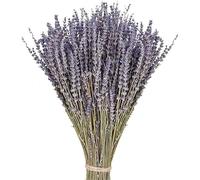 KG7HQRP Ramos de lavanda seca, tallos de lavanda, flores de lavanda secas decorativas para decoración del hogar, manualidades, ramos de boda