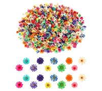 KGDUYC 280 piezas de margaritas secas de 2 g en colores claros mezclados, pequeñas flores naturales secas para manualidades,flores naturales en miniatura para uñas DIY,resina epoxi,velas,scrapbooking