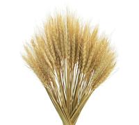 KGDUYC 50 Piezas Decoraciones de Hierba de Trigo Natural, Hierba de Trigo Nativa, Flores de Hierba de Trigo Secas, Ramos de Boda, Decoración en Casa con Flores Bohemias, Fiesta Rústica de Granja