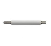 KGptovrGz Kit de Mantenimiento del Rodillo de Plancha P1037974-028 Compatible con Zebra ZT200 Series ZT210 ZT220 ZT230 ZT111 ZT211 ZT231 ZT231CN(Only Roller)
