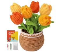 kgxulr - Kit de ganchillo para principiantes, kit de inicio para adultos para aprender ganchillo con videotutoriales paso a paso