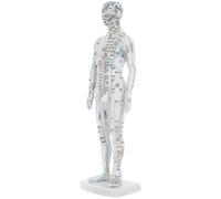 KHBUAB Modelo para Entrenamiento Simulación Realista de Plástico de Acupuntura del Cuerpo Humano Masculino Blanco y Clínicas de Medicina Tradicional China