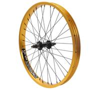 KHE Prism BMX Rueda delantera de 20 pulgadas - Oro - Eje 10 mm - Llanta de doble cámara 38 mm - 36H - 7005 Aluminio - Bicicleta BMX delantera